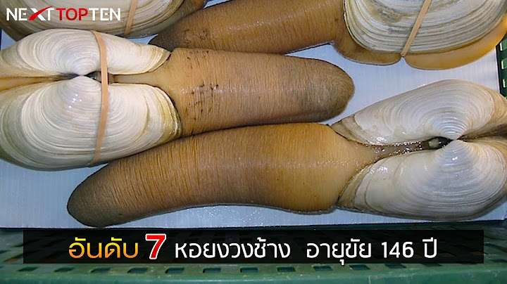 รวมสัตว์ที่มีอายุยืนยาวที่สุดในโลก