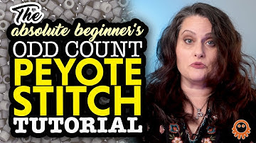 The Absolute Beginner