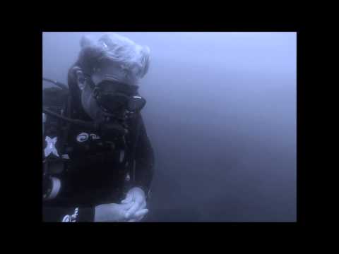 Shark Diving, Aliwal Shoal, South Africa Dec14