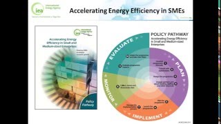 Celebrity 9. Accelerating Energy Efficiency in Small and Medium-Sized Enterprises Net Worth