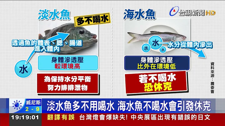 民眾問海水不能喝!魚會口渴?農委會解惑 - 天天要聞