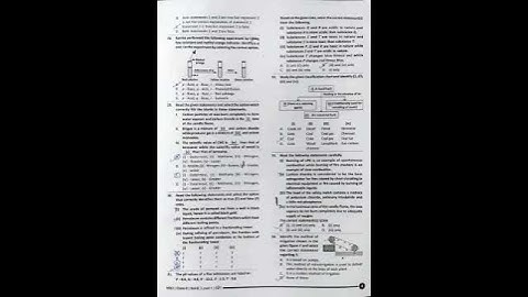 SOF NSO Class 8 2024-25 SET-B Question Paper