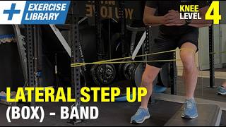 K4 | Lateral Step Up (Box) - Band