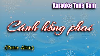 Karaoke |  Cánh hồng phai | Tone Nam (La giáng)