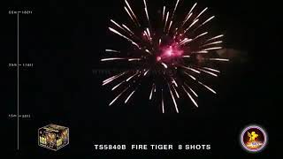Unleash The Beast - T Sky Fireworks - 500 Gram Assortment