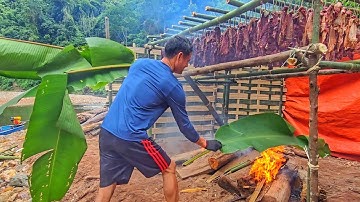 VUI NHƯ TẾT - Tập 3 • Trâu 10 Món