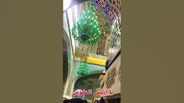 يا طارق باب الرضا ابلغه السلام عني 