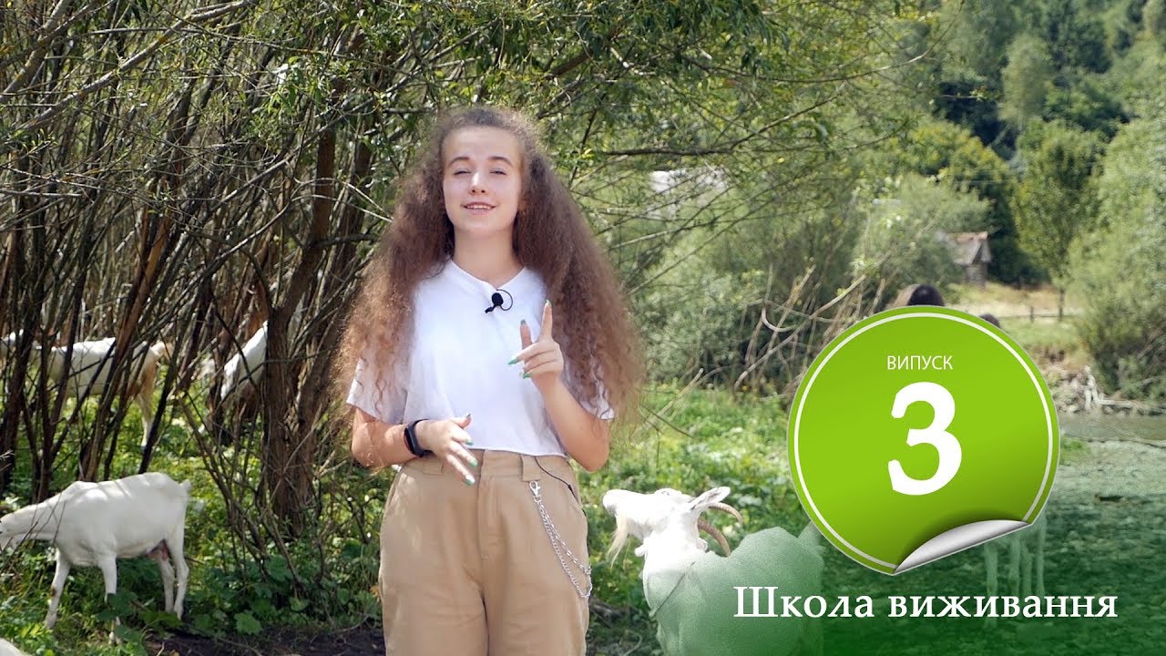 Карина агаева сургут