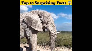 Top secret Amazing kitchen Hacks 🪰 😱| Mind Blowing Hacks In Hindi | Random Facts #facts #shorts