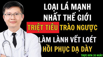KỲ DIỆU! DÙNG 1 LÁ NÀY TRIỆT TIÊU TRÀO NGƯỢC DẠ DÀY, Ợ NÓNG. LÀM LÀNH VẾT LOÉT VÀ HỒI PHỤC TỪ GỐC