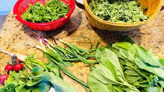 Welcome to my May 2026 Garden Tour 🌿 | Zone 7A|harvest in May| home garden tour