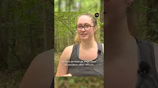 A volunteer comes to the rescue of thirsty forest animals
