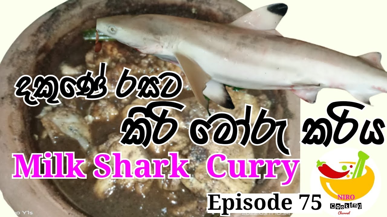 How to Make Milk Shark Cutting & Cooking/කිරි මෝරු කරිය/Srilankan Fish