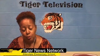 Allendale Elementary School TNN (10/23)