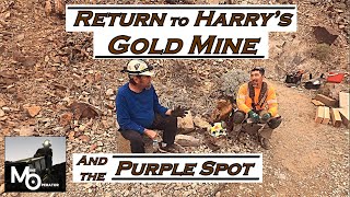 The Purple Spot Part 1, Harrys Gold Mine