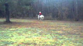 SUNP0012.AVI