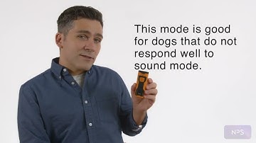 How to use the NPS Ultrasonic Dog Training Device