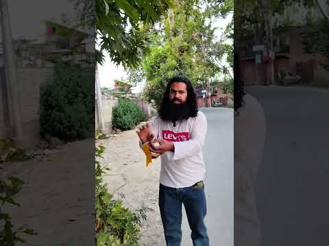 Someone has cut the reflective tape / Jannate Kashmir Welfare Society