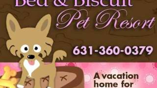 Long Island Bed and Biscuit Pet Resort
