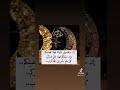 كانت دقائق تفصلنا عن رمضان والان اتى الهم اجعله شهر خير وبركة تهنئة الى اهلي واحبتي واصدقائي mp3