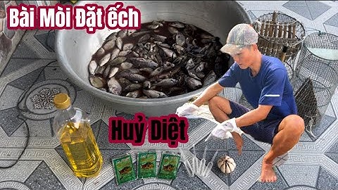 Chia Sẻ Bài Mòi Đặt Lợp Ếch Huỷ Diệt Mà Rất Đơn Giản Có Ếch Là Vô Liền. Làm 1Lần Đặt 3 Bữa