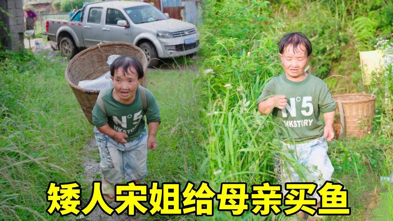 矮人宋姐给母亲买鱼，小小的我也有大梦想，要陪妈妈变老！#农村生活#袖珍人