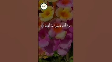 سورة الكافرون - المنشاوي ❤️ #المصحف #تلاوة #ذكرى #راحة_نفسية #قرآن #تجويد #مصر #المنشاوي