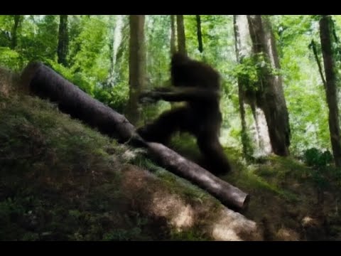 Young boy turns blue after Bigfoot chase family horses