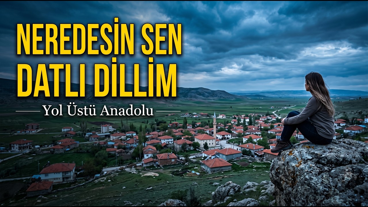 ⁣Neredesin Sen (Neşet Ertaş) - 70s Psychedelic Anatolian Rock Cover | Yol Üstü Anadolu
