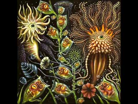 Kirlian Camera Ocean Kirlian Camera Ocean