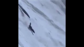 Shot on iphone meme compilation 7