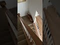 #dog
