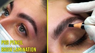 Follow along Brow Lamination tutorial for all eyebrow types (Pro Pencil)