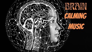 BRAIN CALMING MUSIC || Stress Relief & Nerve Regeneration || Brain Wave Therapy Music