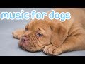 Calming Music to Relax My Dog! Music for Dogs to Listen to and Chill, Sleep!