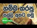 Fiverr | How to Withdraw Money to the ATM machine in සිංහ⁣ලෙන් Sinhala