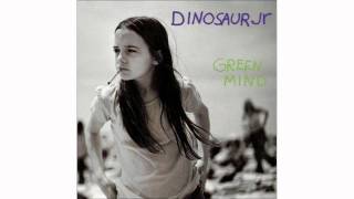 Dinosaur Jr. - How&#39;d You Pin That One On Me