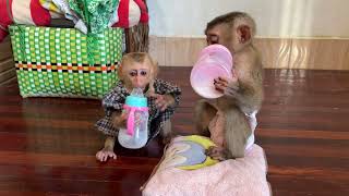 Milk time 