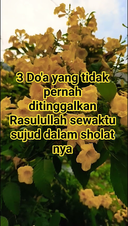 3 Do'a yang tidak pernah ditinggalkan Rasulullah sewaktu sujud dalam sholat nya