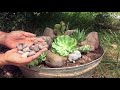 Como Hacer Un Mini Jardín De Suculentas y Cactus// Huerto en casa// Manos De Tierra