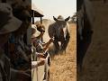 Wild Animals Attacked on Humans #wildlife #junglelife #safarilife #usa #junglelife #america