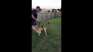 K9SA CATO - Second Muzzle Strike