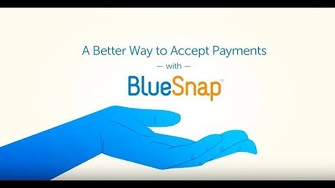 BlueSnap All-in-One Payment Platform - Global Online and Mobile Payments for Businesses, Simplified