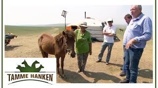 Tamme rettet Pferd vor der Schlachtung! | Tamme Hanken | Kabel Eins