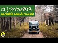 Wayanad Muthanga Forest Wildlife Sanctuary | Jeep Safari at Muthanga Wild life Sanctuary Vlog#5