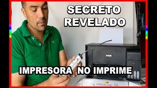 IMPRESORA EPSON NO IMPRIME solución sin limpiar los cabezales