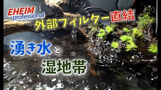 エーハイム外部フィルター直結！湧き水と湿地帯【流木レイアウトのオープンアクア】