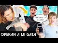 OPERAN a nuestra GATA 😨 Así GRABAN THE CRAZY HAACKS 😂 ¡Os ENSEÑO mi NUEVA CASA REFORMÁNDOSE! 🏡