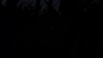 Outlast|Try not to get scared