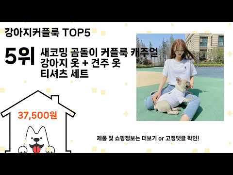 강아지커플룩 돈 아깝지 않은 가성비 추천 상품 Top5